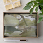 Yucca Plant  薄葉紙 (ギフト)