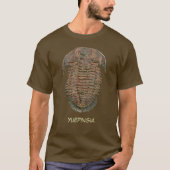 Yuepingia化石三葉虫 Tシャツ (正面)