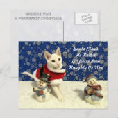 Yuki's Christmas - Cat / Kitten Christmasポストカード シーズンポストカード (正面/裏面)