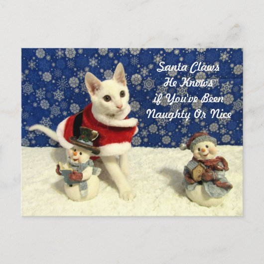 Yuki's Christmas - Cat / Kitten Christmasポストカード シーズンポストカード (正面)