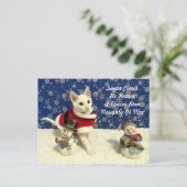 Yuki's Christmas - Cat / Kitten Christmasポストカード シーズンポストカード (スタンド正面)