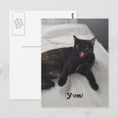Yum葉書をなめるトルトイセシェル猫舌 ポストカード (正面/裏面)