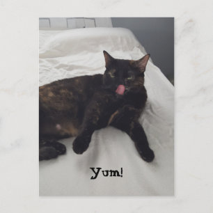 Yum葉書をなめるトルトイセシェル猫舌 ポストカード