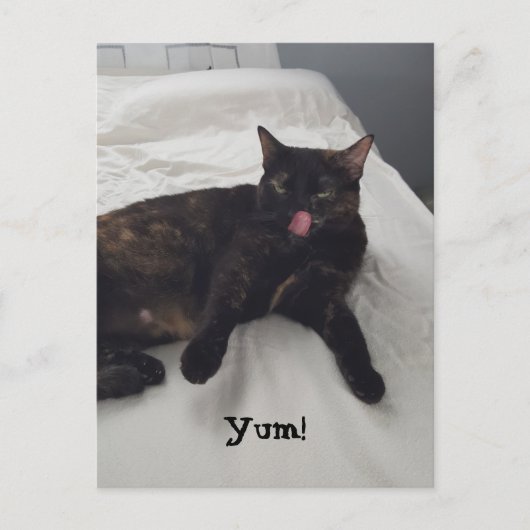 Yum葉書をなめるトルトイセシェル猫舌 ポストカード (正面)