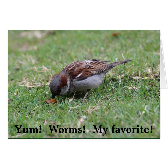 Yum!  みみず! (正面横)