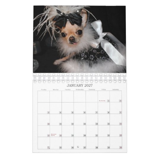 YumYum 2014のカレンダー カレンダー (1月 2027)