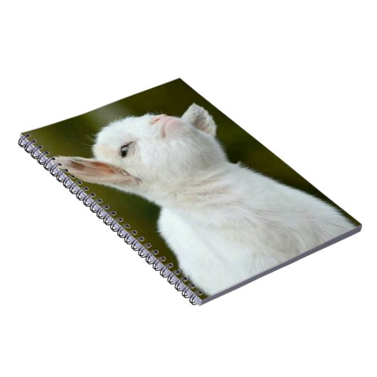 Yup ノートブック (右側)