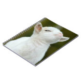 Yup ノートブック (左側)