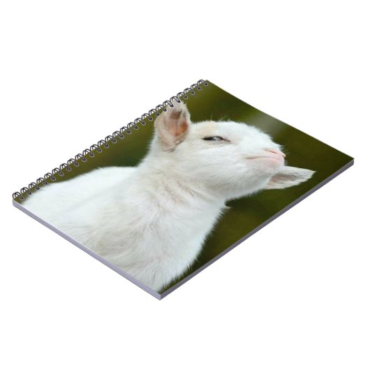 Yup ノートブック (左側)