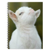 Yup ノートブック (正面)