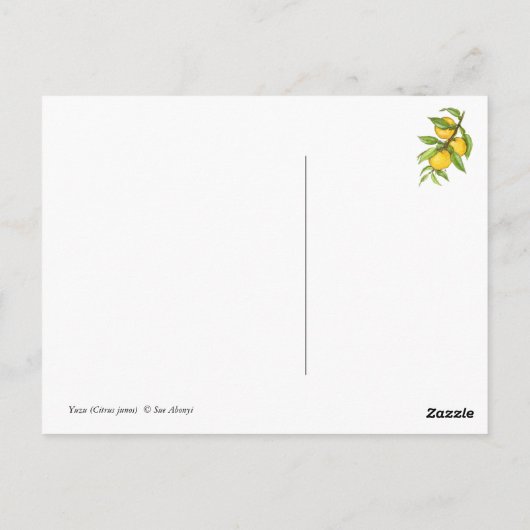 Yuzuのコレクション ポストカード (裏面)