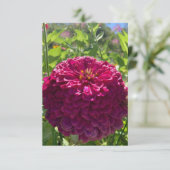 Zのヒント「ダークロージー・ドリームス」 サンキューカード (スタンド正面)