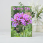 Zのヒント「考えあなたの」クローズアップ・カード サンキューカード (スタンド正面)