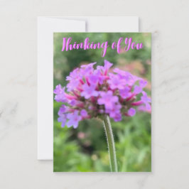 Zのヒント「考えあなたの」クローズアップ・カード サンキューカード