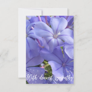 Zのヒント「親愛悔やみや弔慰」 サンキューカード