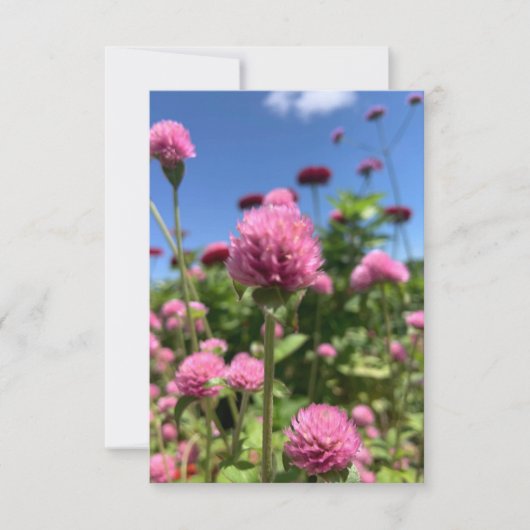 Zの「フローラ・ピンク」カードのヒント サンキューカード (正面)