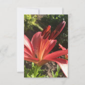 Zの「赤い花無地の」カードのヒント サンキューカード (正面)