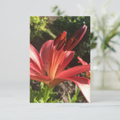 Zの「赤い花無地の」カードのヒント サンキューカード (スタンド正面)