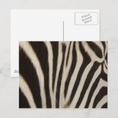 Zは縞で飾ります ポストカード (正面/裏面)