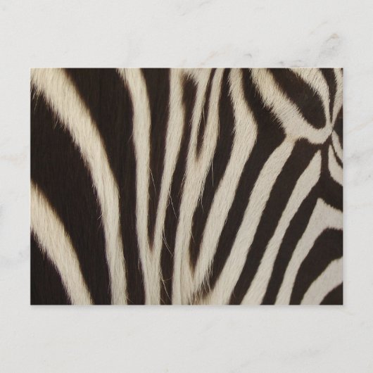 Zは縞で飾ります ポストカード (正面)