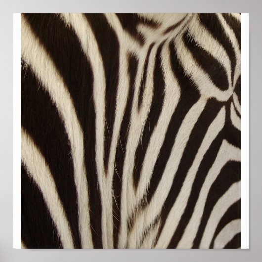 Zストライプ ポスター (正面)