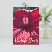 Z「ありがとう」カードのヒント サンキューカード (スタンド正面)