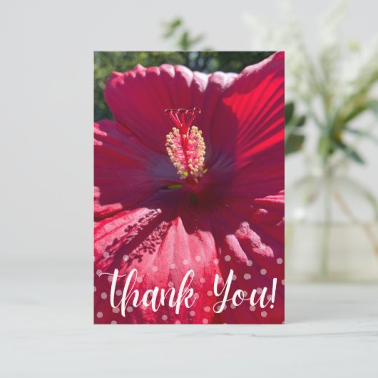 Z「ありがとう」カードのヒント サンキューカード (スタンド正面)