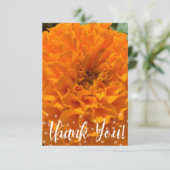 Z「ありがとう」カードのヒント サンキューカード (スタンド正面)