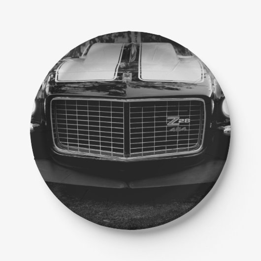 Z ペーパープレート (正面)