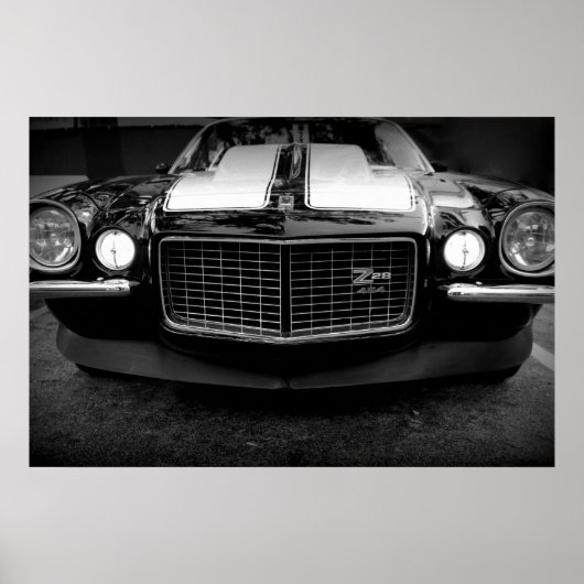 Z ポスター (正面)