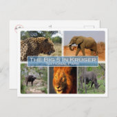 ZA南アフリカ – Krugen N.Pの大きな5つ – ポストカード (正面/裏面)