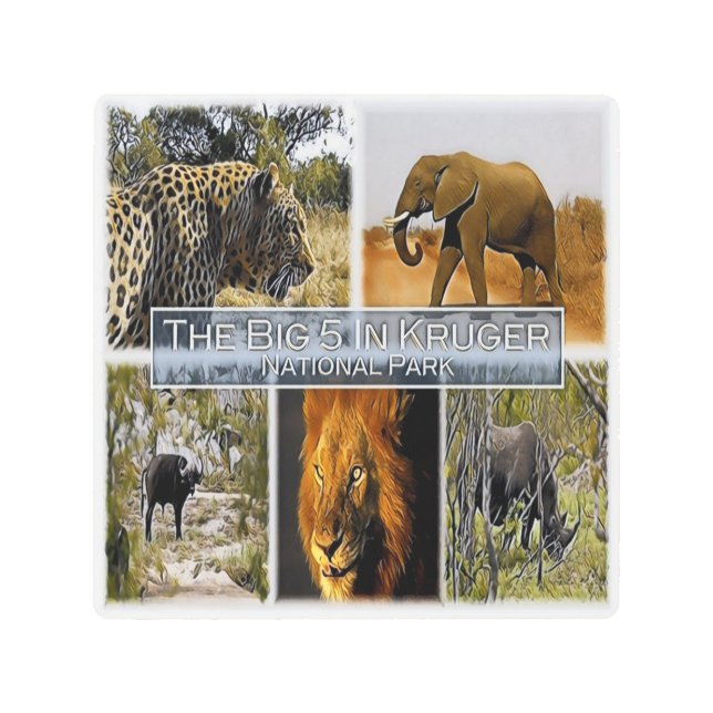 ZA *南アフリカ-クルーガーNのビッグ5。ピーター メタルプリント (正面)