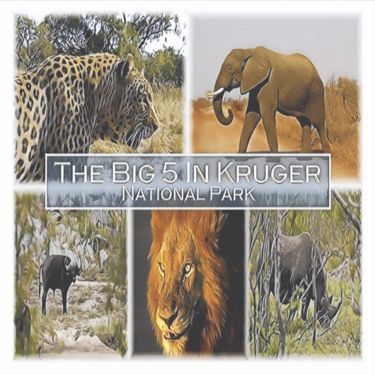 ZA * SOUTH AFRICA - THE BIG 5 in KRUGER N. P. シール (正面)