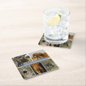 ZA * SOUTH AFRICA - THE BIG 5 in KRUGER N. P. スクエアペーパーコースター (インサイチュ)