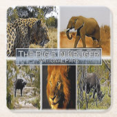 ZA * SOUTH AFRICA - THE BIG 5 in KRUGER N. P. スクエアペーパーコースター (正面)