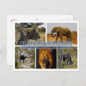 ZA * SOUTH AFRICA - THE BIG 5 in KRUGER N. P. ポストカード (正面/裏面)