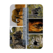 ZA * SOUTH AFRICA - THE BIG 5 in KRUGER N. P. マグネット (縦)