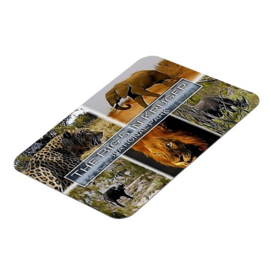 ZA * SOUTH AFRICA - THE BIG 5 in KRUGER N. P. マグネット (左側)