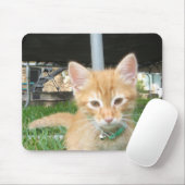 Zaccheus子ネコ マウスパッド (マウス)