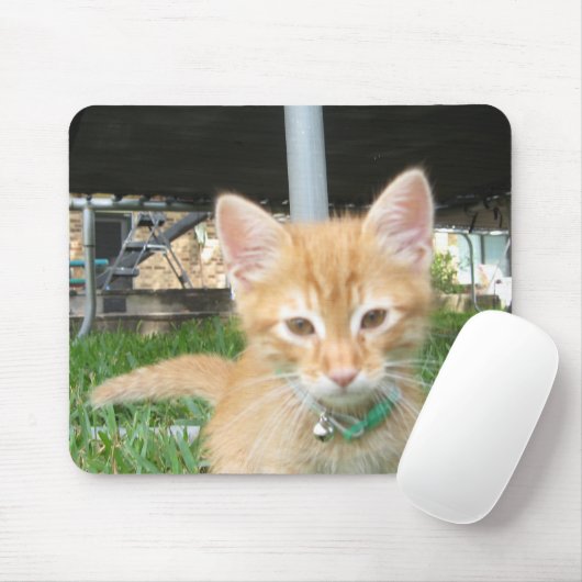 Zaccheus子ネコ マウスパッド (マウス)