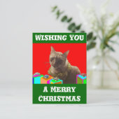 Zackクリスマス猫 シーズンポストカード (スタンド正面)