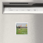 zAE020 CRICKET MATCH at SHARJAH, UAE，アジア，冷蔵庫 マグネット (インサイチュ (食洗機))