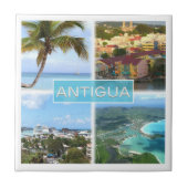 zAG003アンティグア・モザイク・アンティグア・バーブーダ タイル (正面)