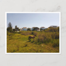 Zahara de los Atunes，アンダルシア（スペイン） ポストカード