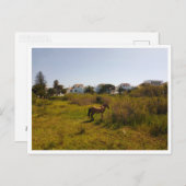 Zahara de los Atunes，アンダルシア（スペイン） ポストカード (正面/裏面)