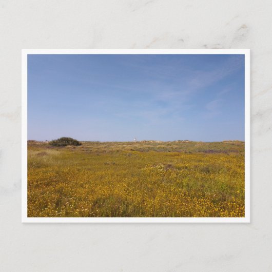 Zahara de los Atunes，アンダルシア（スペイン） ポストカード (正面)