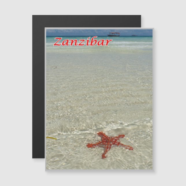 Zanzibar - Sea View - Starfish - (正面/裏面)