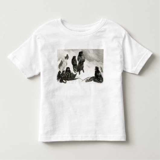 Zapallosで交換することを行くFuegians トドラーTシャツ (正面)