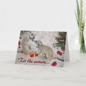 ZaphodおよびMonkulusの季節の挨拶-カード シーズンカード (正面)