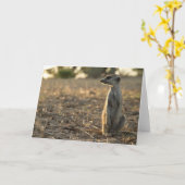 Zaphodの第12バースデー・カード1 カード (黄色い花)